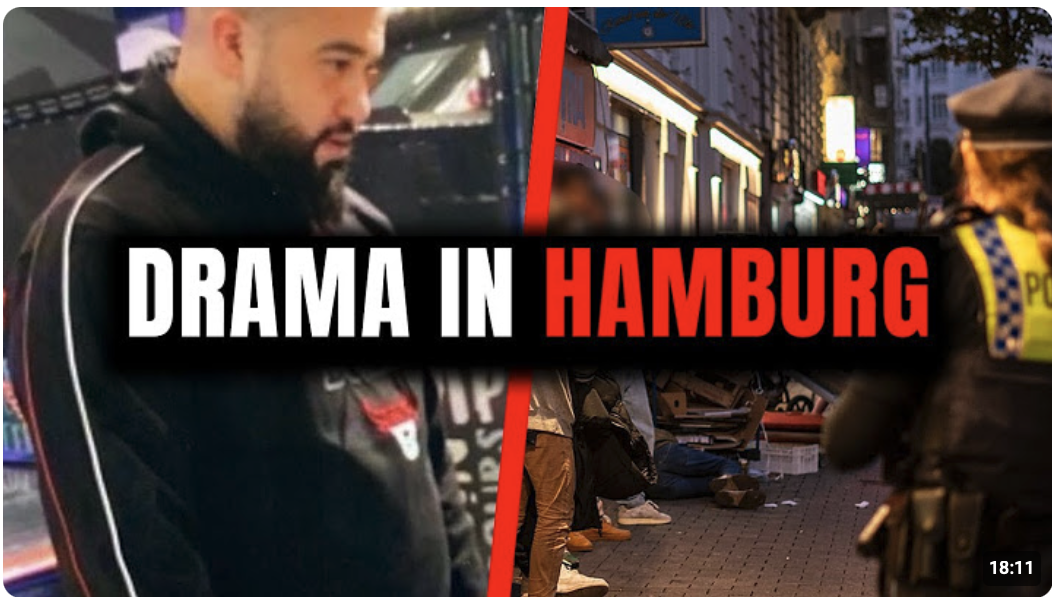 Die Paten von Hamburg – Der Fall der Bosse