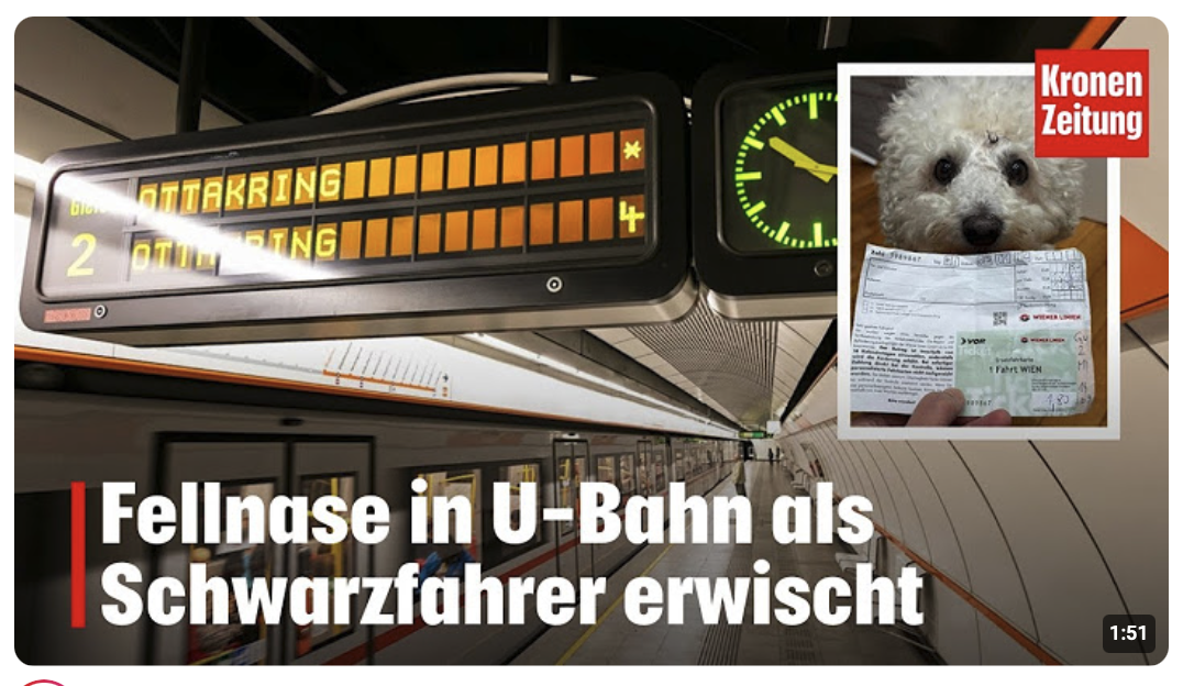 Fellnase in U-Bahn als Schwarzfahrer erwischt 