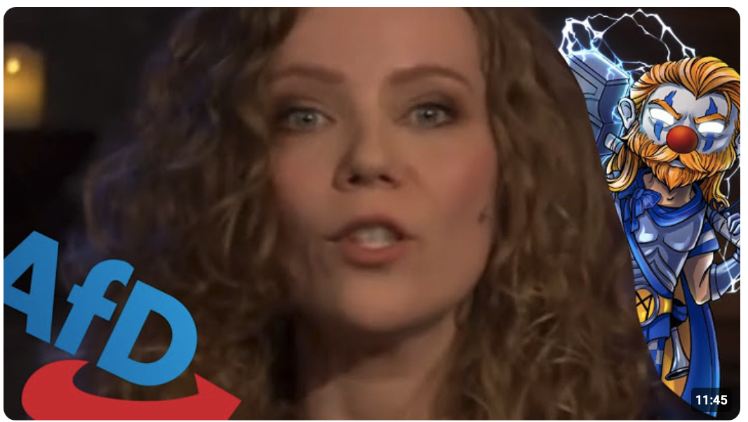 Sarah und die guten Gründe, die AfD zu wählen