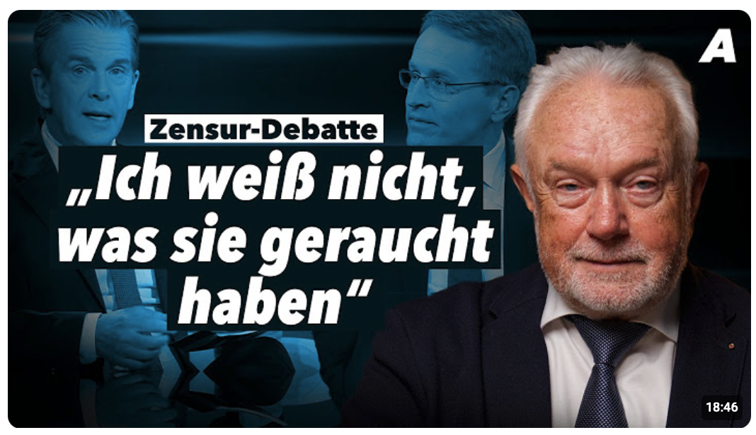 „Sie haben Angst vor sich selbst“ – Wolfgang Kubicki im Interview