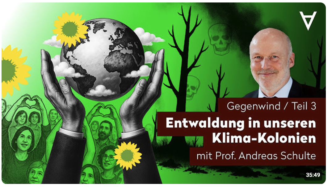 Windräder, Wald und Wahrheit (3)