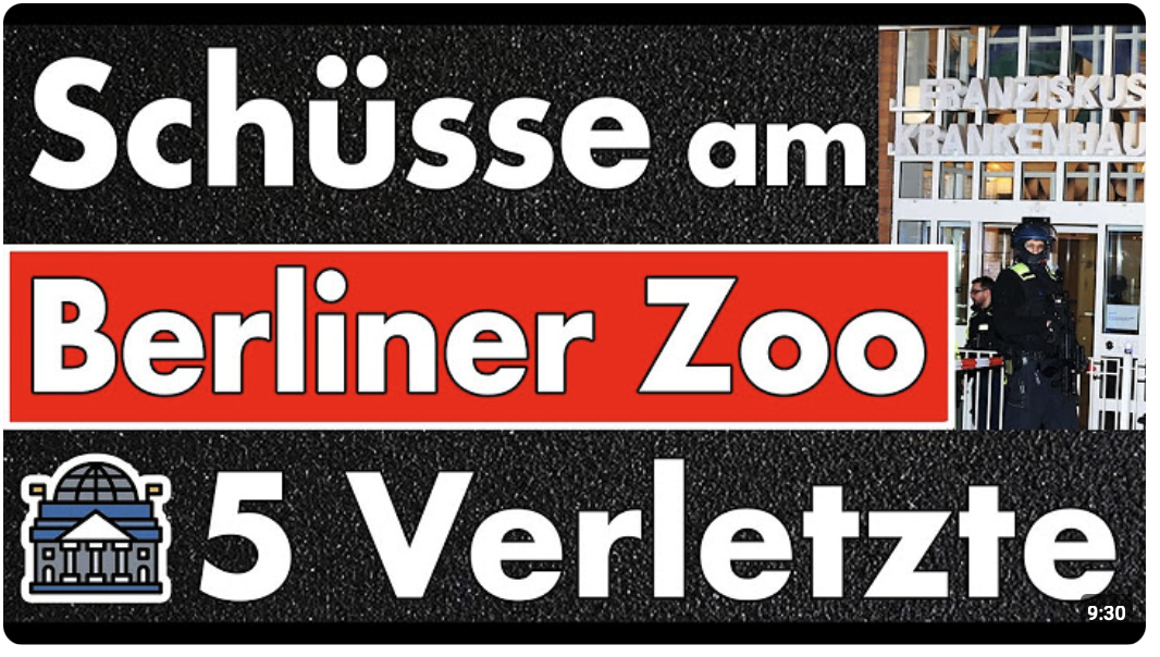 Schüsse am Berliner Zoo! Polizei spricht von Streit mit Schussabgabe? Die Sprache ist ein Problem!