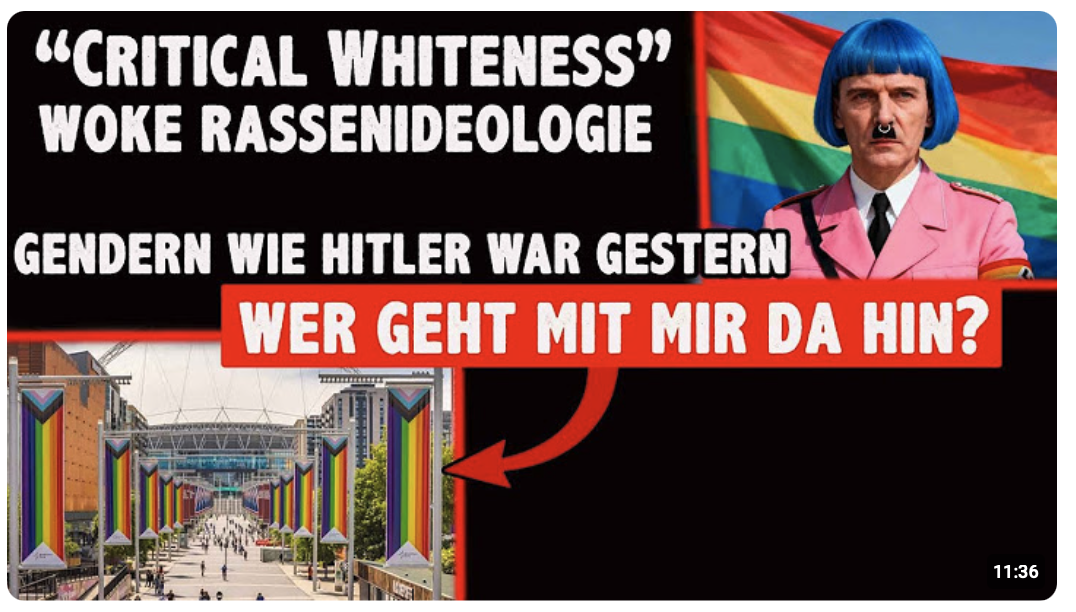 Critical Whiteness WOKE RASSENIDEOLOGIE staatlich finanziert!