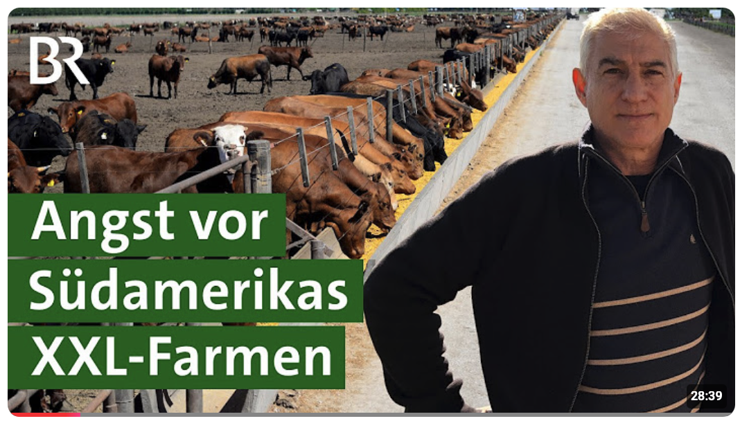 Mercosur-Abkommen im Faktencheck: Das sind die Auswirkungen für Landwirte 