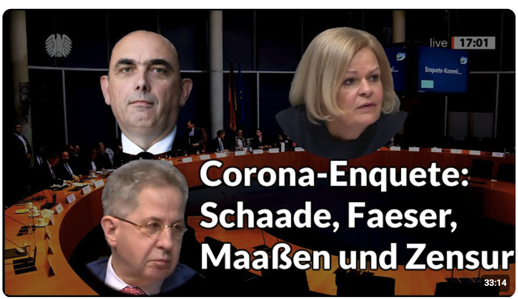 Der RKI-Chef in der Enquetekommission | Prof. Homburg