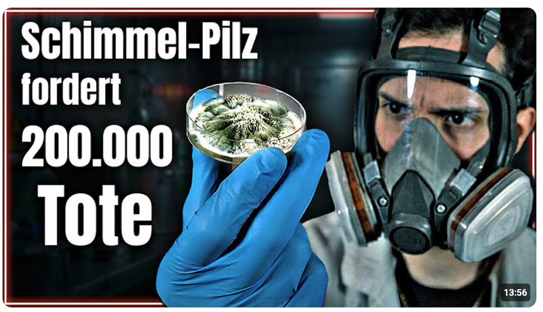 Dieser Schimmel wächst in deiner Lunge! (Nicht einatmen)