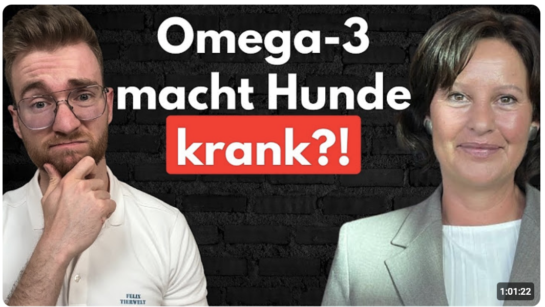 Warum Omega 3 für Hunde unterschätzt wird! Mit Hundeernährungscoach Nina Saller