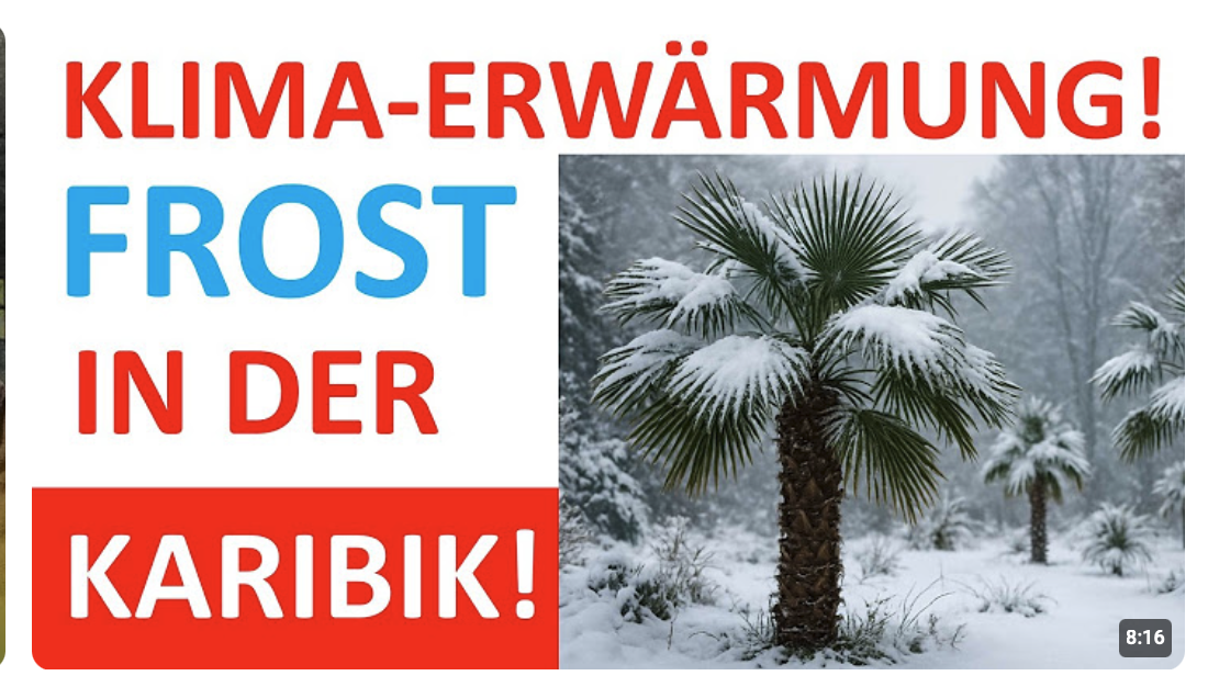 Kuba friert ein. Wer ist schuld? Der Klimawandel!