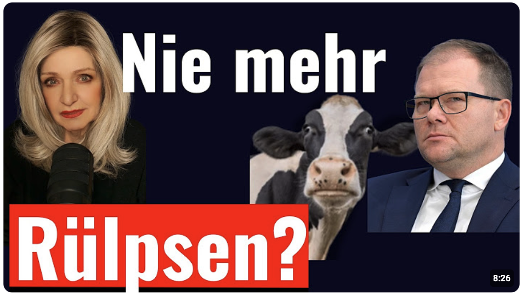 Rülpsendes Rindvieh und die SPD: Warum China vorne liegt und wir noch über Kuhgase streiten