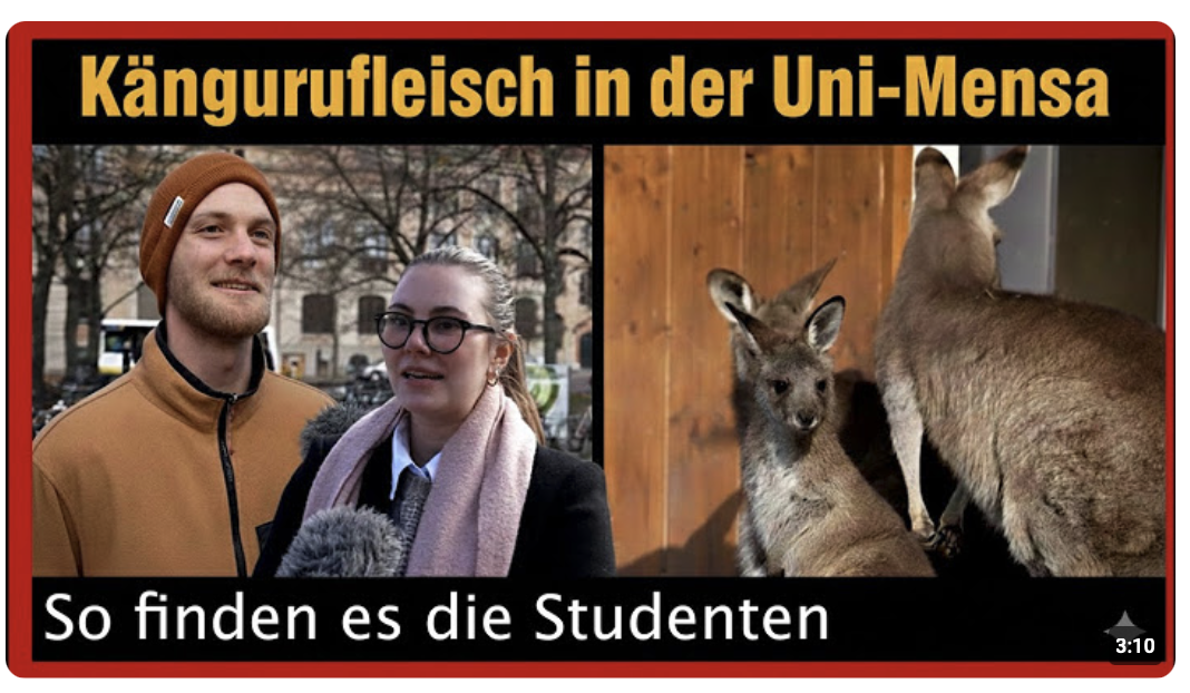 Kängurufleisch an der Uni-Mensa: Das sagen die Studenten