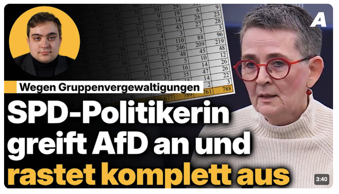 SPD-Politikerin verbreitet Fake-News im Europaparlament | Newsroom