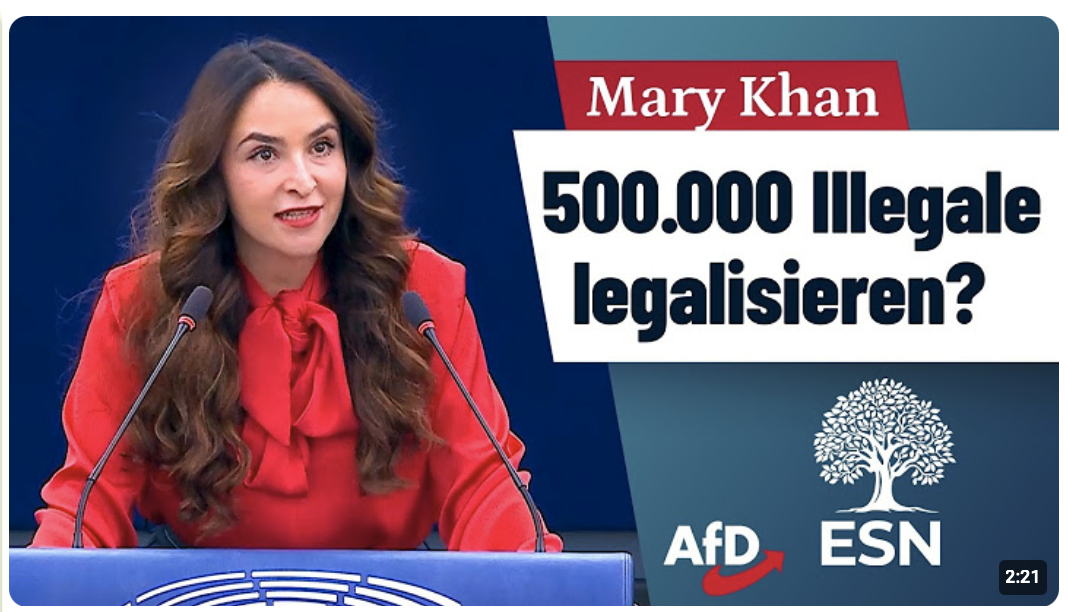 500.000 Illegale einfach legalisieren? – Mary Khan (AfD)