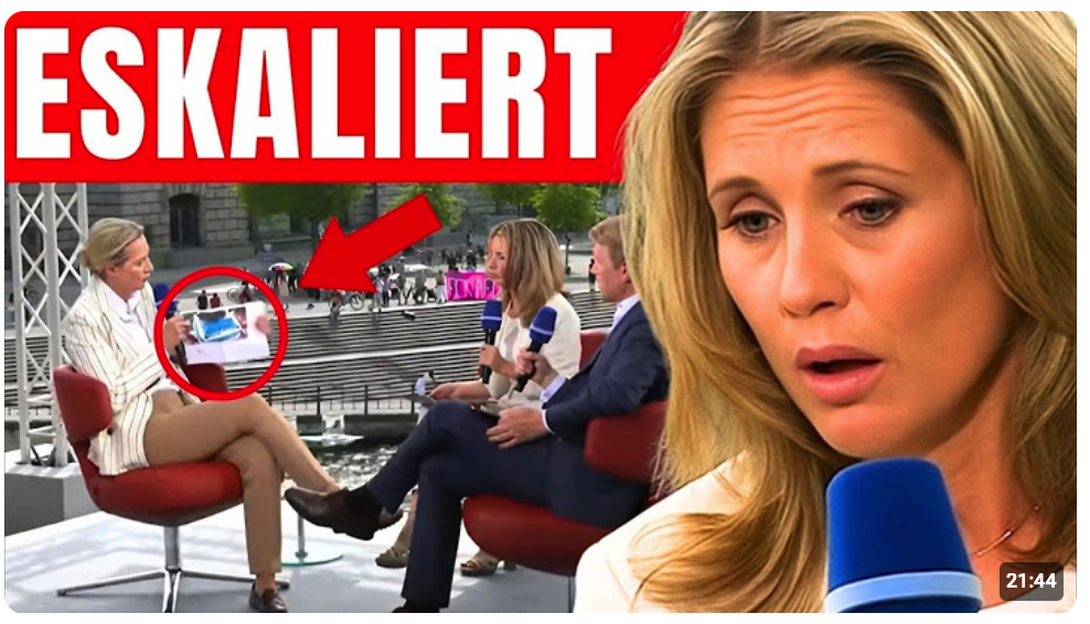 Plötzlich holt AFD etwas raus! Danach wird Moderatorin panisch!