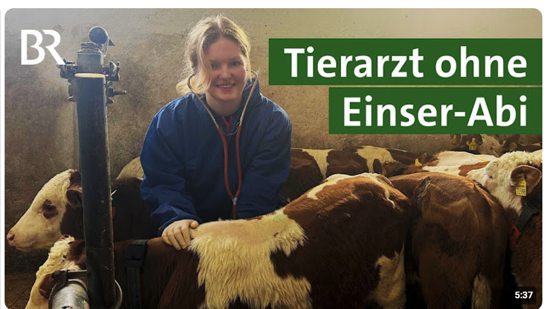Großtierärzte dringend gesucht! Das steckt hinter der Quote für Landtierärzte | Unser Land | 