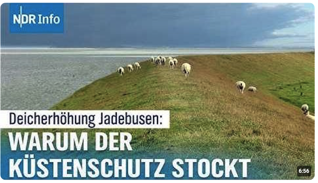 Sturmflut-Angst an der Weser: Kommt der Deichbau 2027? 