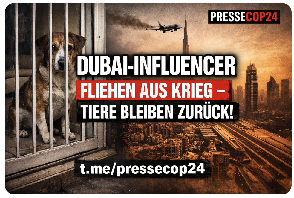 FLUCHT-DRAMA IN DUBAI! INFLUENCER RETTEN NUR SICH – UND LASSEN IHRE TIERE ZURÜCK