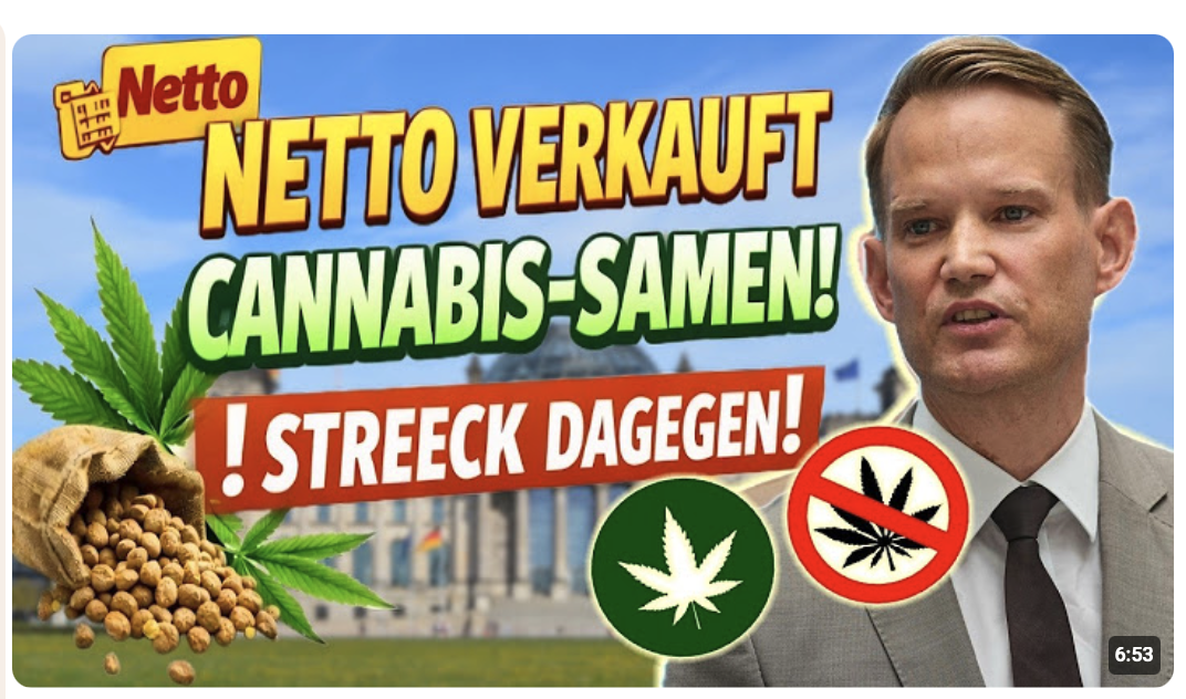 Netto verkauft Cannabissamen nach Legalisierung ! Drogenbeauftragter Streeck dagegen