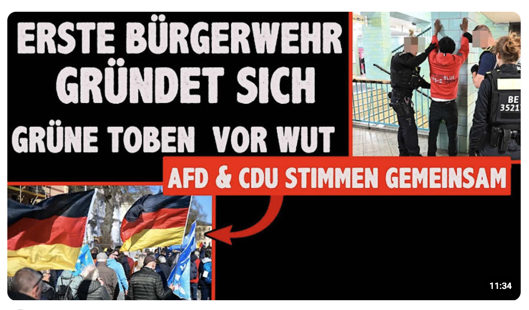 Bürgerwehr gegen Migranten Kriminalität CDU und AFD stimmen gemeinsam