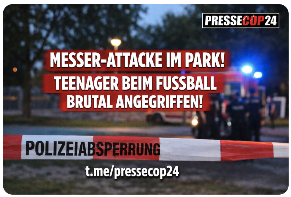 MESSER-ATTACKE IM PARK! TEENAGER-RUDEL GREIFT KINDER BEIM FUSSBALL AN