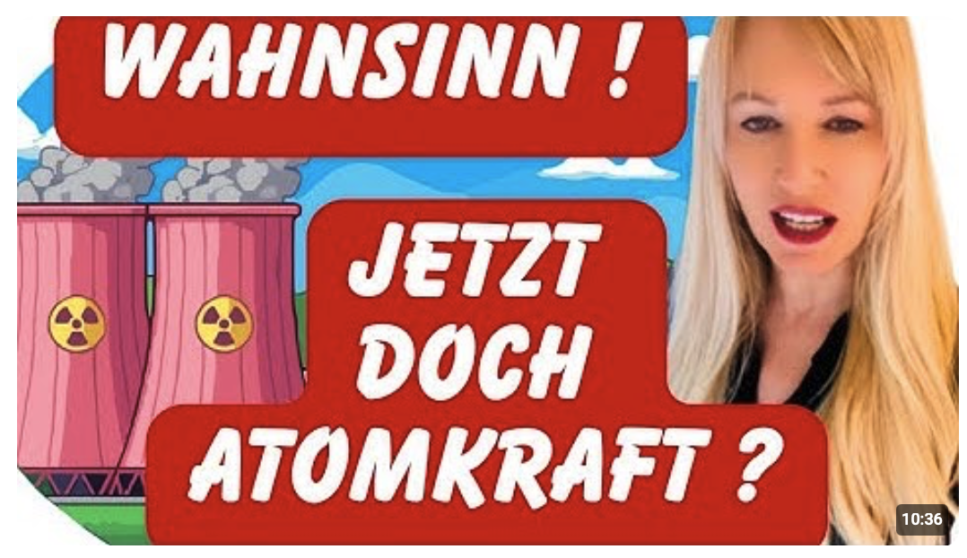 WEG MIT ALTERNATIVLOS! AKW Comeback möglich?