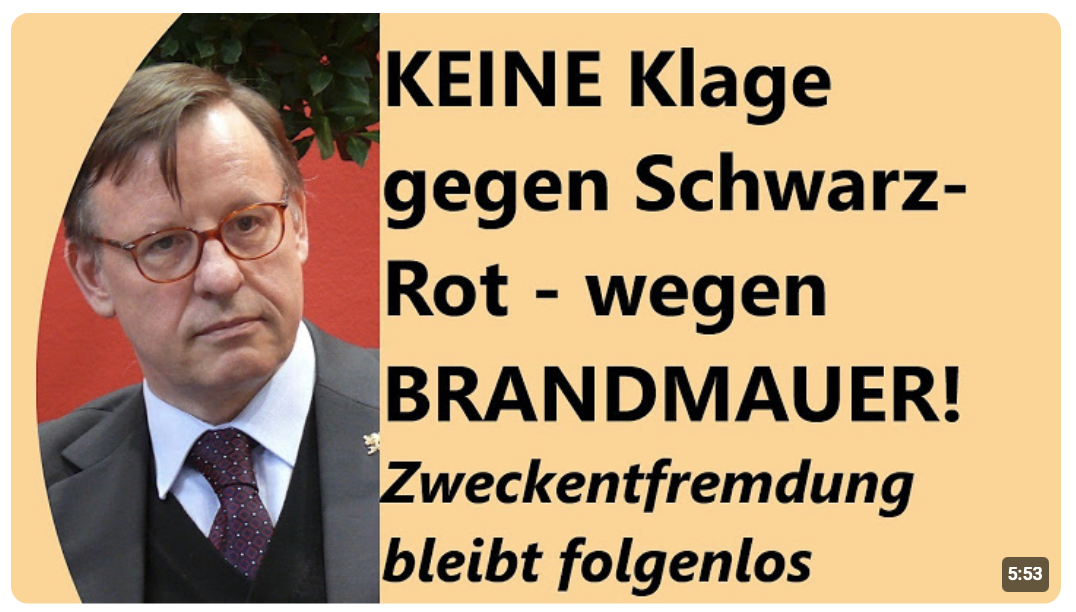 Keine Opposition mehr im Bundestag: Brandmauer vernichtet Demokratie in Deutschland