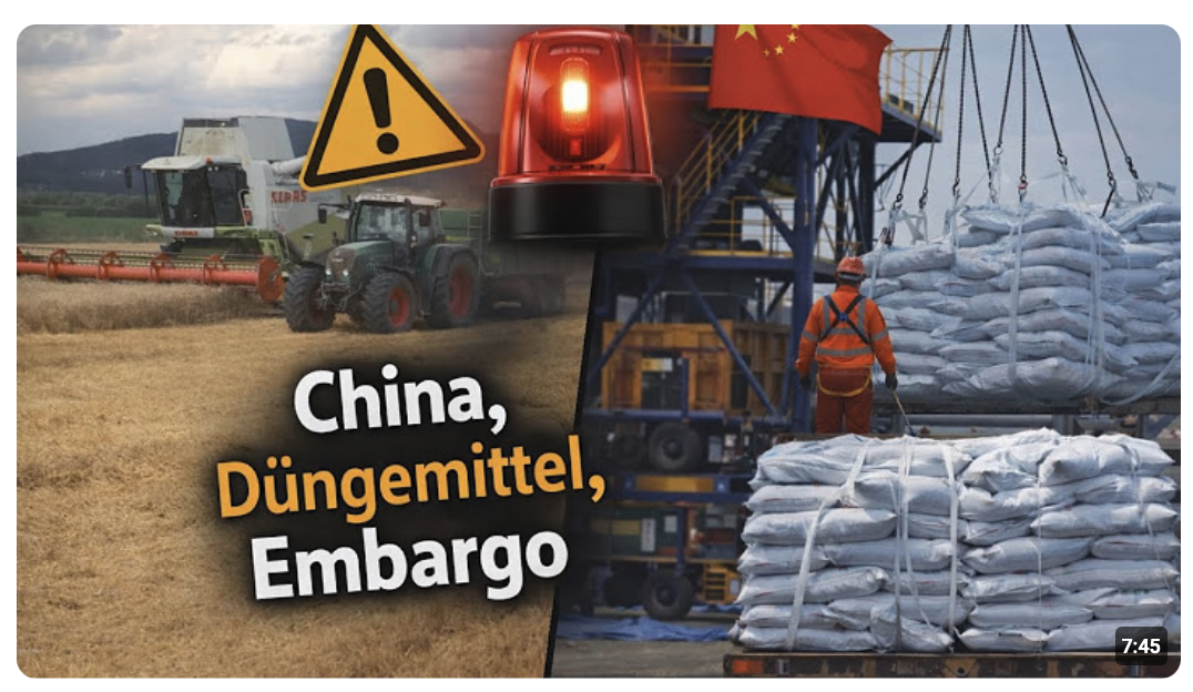 China  liefert nicht mehr und wir spinnen zu 110 %! Hunger wird uns heilen, wetten 