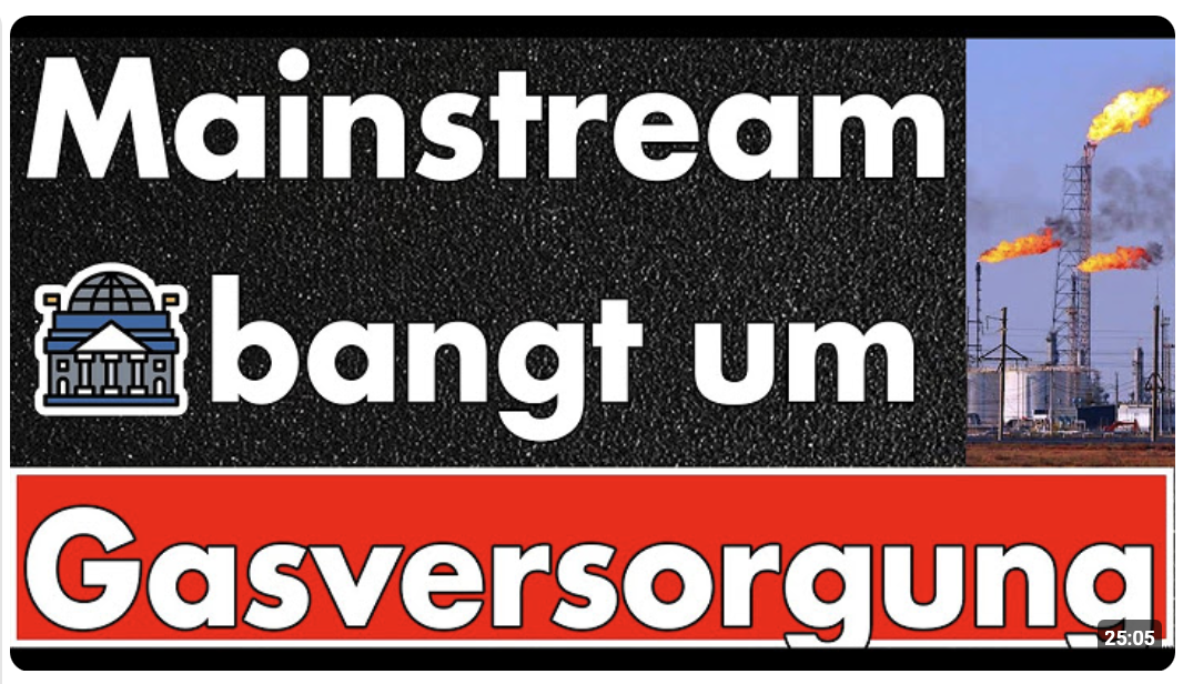 Es dämmert! So langsam kapiert der letzte Experte, dass es wohl ein großes Problem gibt! Gasspeicher