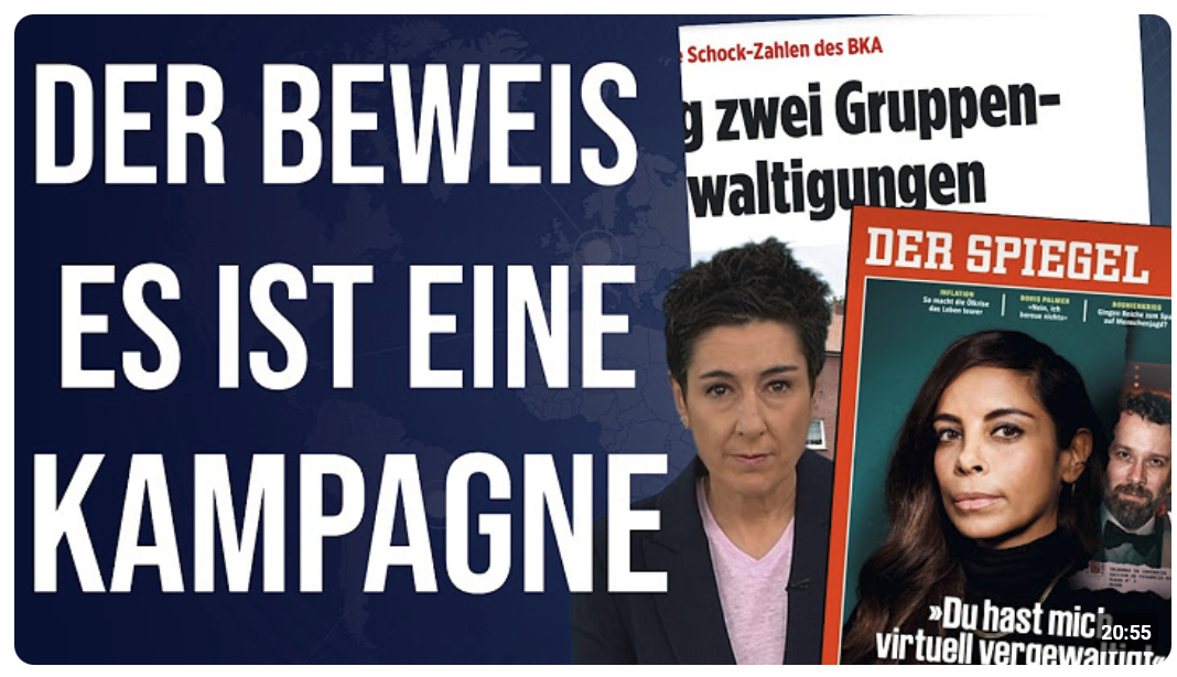 ZDF-Hayali beteiligt Plan entlarvt Totales Desaster für Fernandes-Kampagne DASist das wirkliche Ziel