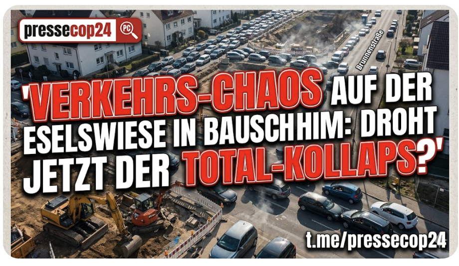 ESELSWIESE-ALPTRAUM: WIRD BAUSCHHEIM JETZT ZUBETONIERT UND ZUGEPARKT?