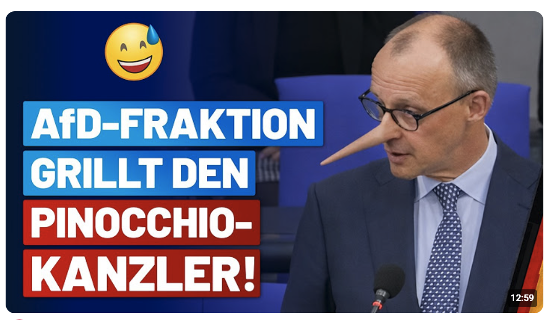 Kanzlerbefragung: AfD-Fraktion grillt Merz!