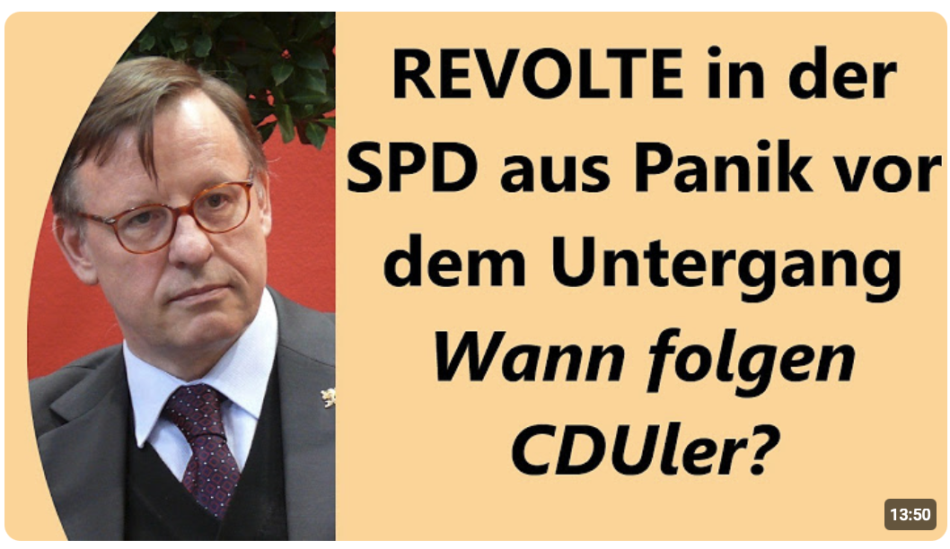 Wut gegen SPD-Funktionärskaste – Existenzangst erschüttert Macht-Bastionen innerhalb der Partei