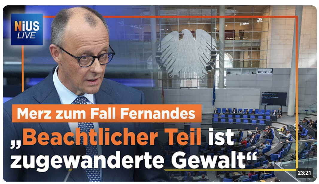 Fernandes-Fall: Eskalation im Bundestag nach DIESEM Merz-Spruch 