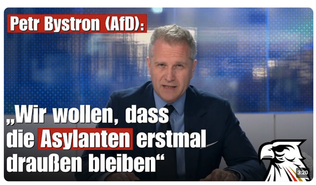 „Asylanten müssen erstmal draußen bleiben“ – Petr Bystron (AfD) über die neue Remigrationsverordnung