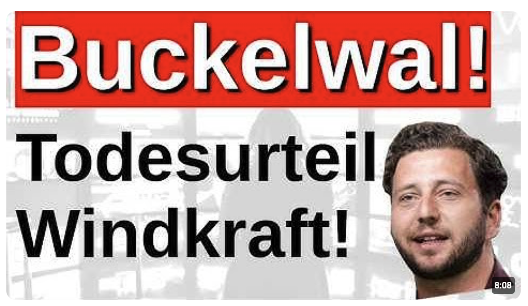 Experte: Windkraft ist sein Todesurteil! Buckelwal wieder gestrandet! Er hätte überleben können!