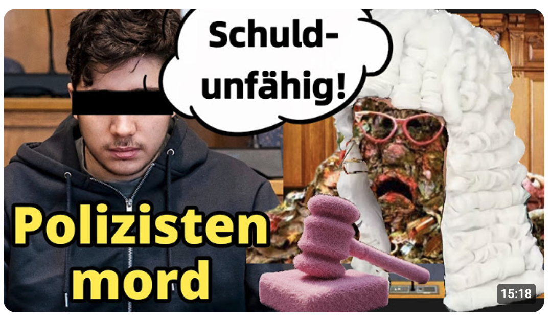 Freispruch nach Polizistenmord? Die Wahrheit hinter der Richter-Begründung