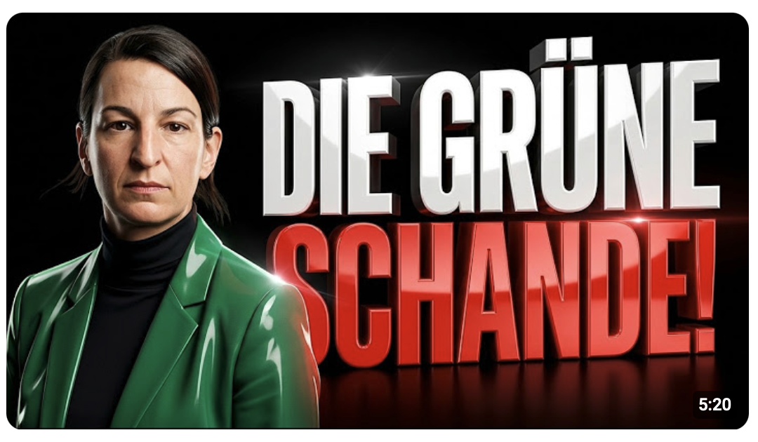 GRÜNE dreht komplett mit ihrer HETZE gegen die AFD durch! 
