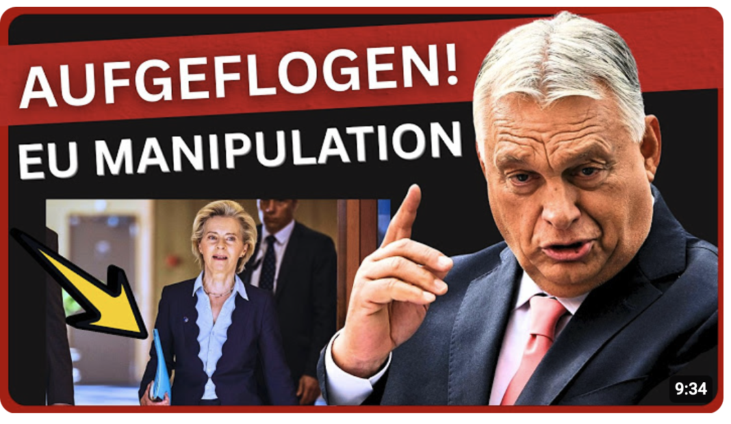 EU-Wahleinmischung aufgeflogen! – Die Umfragen lügen – Brüssel will Orbán stürzen!