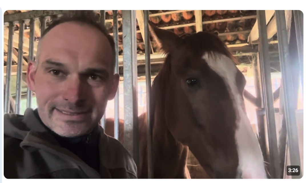 Der Wolf ist frei! Wo, warum, durch wen verantwortet? Egal! Das Großexperiment Wolf geht weiter!