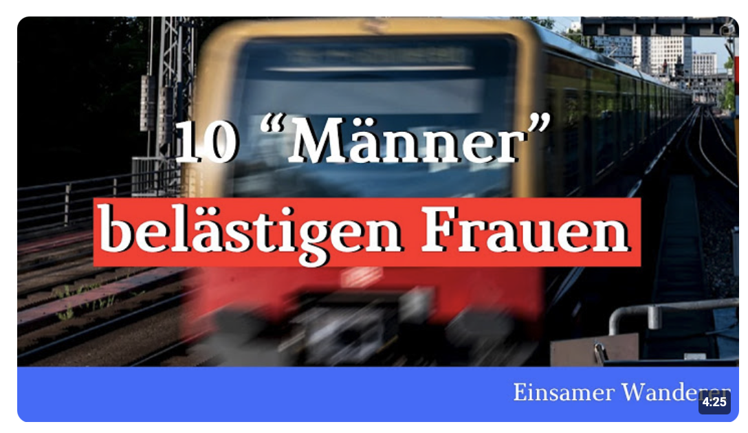 10 (!) „Männer“ belästigen Frauen in Bahn und klatschen einschreitenden Deutschen weg