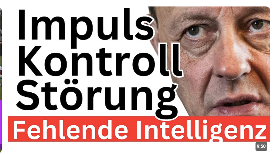 Merz Kompetenzgrenze überschritten  Selbstsabotage 