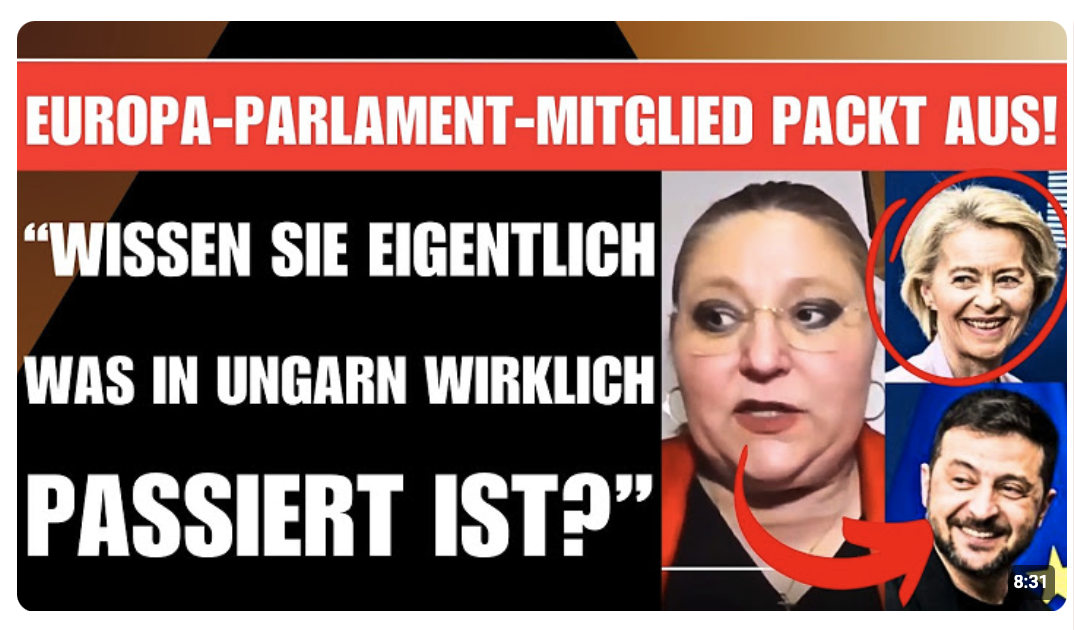 „WISSEN SIE WER WIRKLICH HINTER DER UNGARN-WAHL STECKT?“   DAME AUS DEM EUROPA PARLAMENT PACKT AUS!