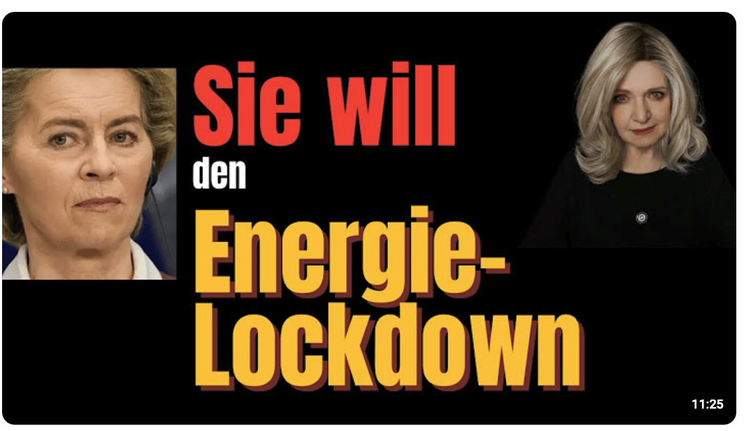 Von der Leyen will Energie-Lockdown Dabei gibt es eine Alternative, nicht nur von der AfD