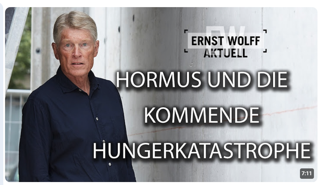 Hormus und die kommende Hungerkatastrophe | Ernst Wolff Aktuell