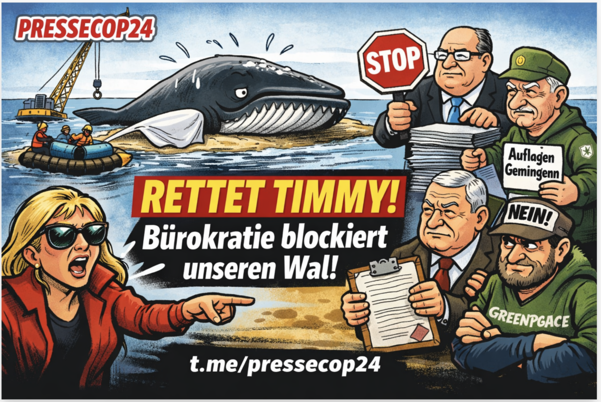 +++ WAL-DRAMA SPITZT SICH ZU! MILLIONÄRE WÜTEND AUF BEHÖRDEN – RETTUNG VON TIMMY WIRD ZUM NERVENKRIEG! +++