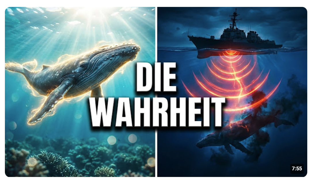 Timmy und DIE VERSCHWIEGENE WAHRHEIT