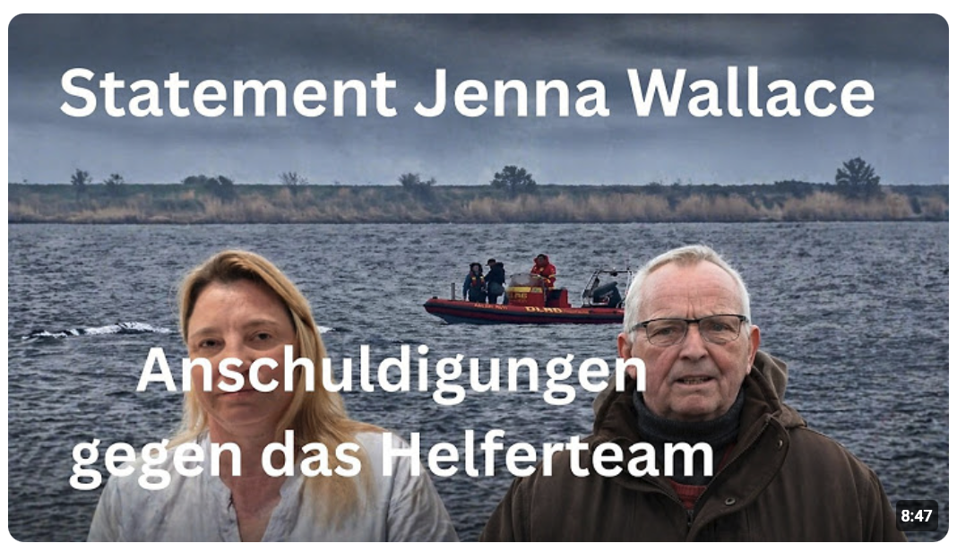 Haben Sie Timmy stranden lassen? – Interview Jenna Wallace