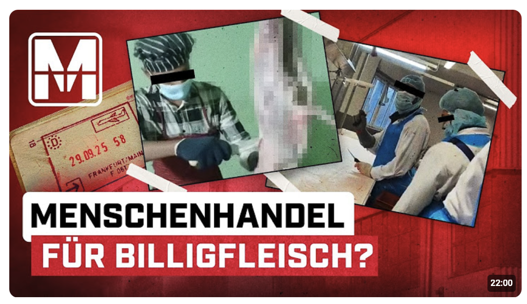 Wer wirklich für unser billiges Fleisch bezahlen muss – MONITOR