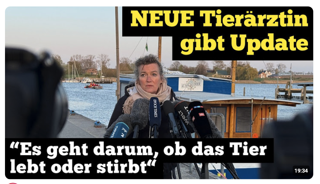 NEUE Retter-Tierärztin gibt Update: „Es geht darum, ob das Tier lebt oder stirbt“