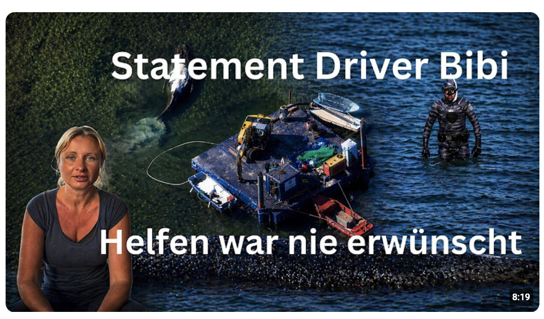 Hilfe unerwünscht – Statement Driver.Bibi Instagram Story