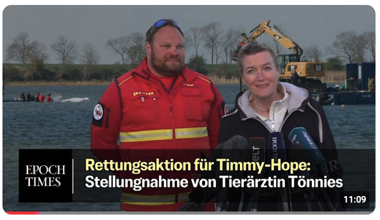 Timmy-Hope soll eine Blutuntersuchung bekommen – Stellungnahme von Tierärztin Tönnies und DLRG